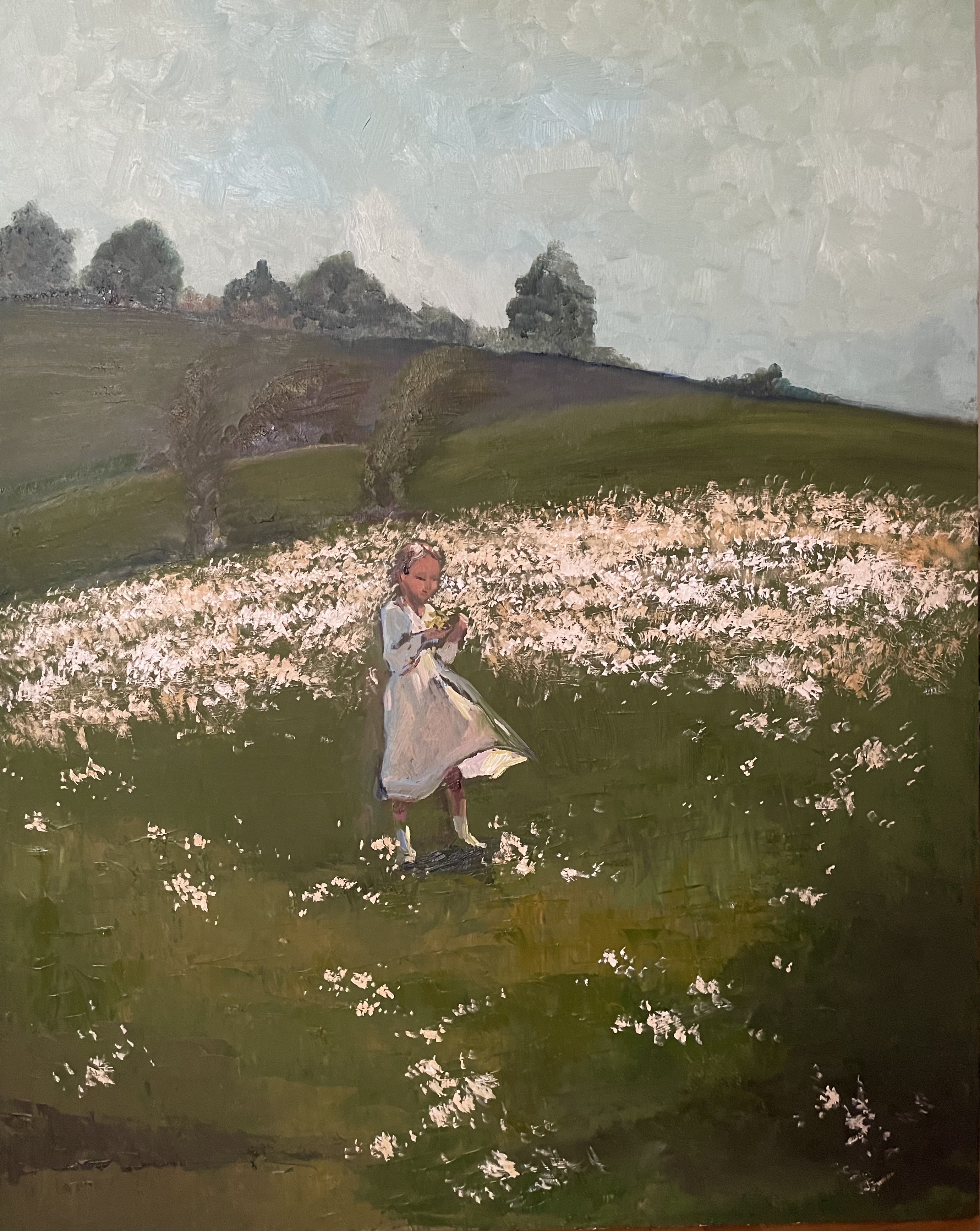Glade of Daisies