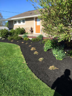 mulch1
