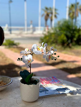 Mar Alegre Breakfast in the morning