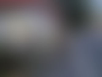R35.16ペット用畳