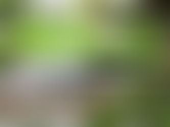 Innovative Ideas For Garden And Landscape Design In Australia