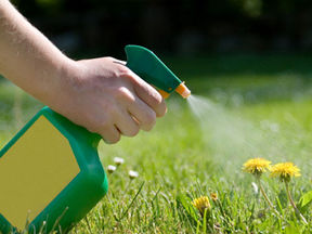 Fox Mowing: Helping You with Garden Creation and Care