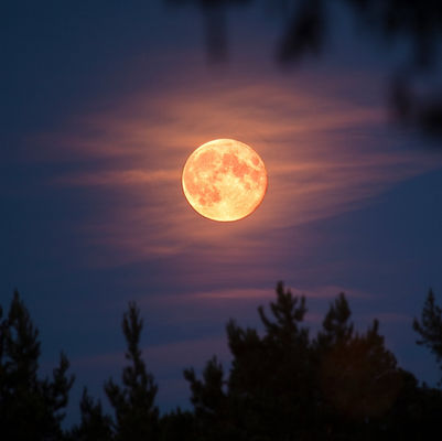 Full Moon Meditation