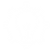 Cuerpo (70).png