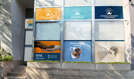 La mejor veterinaria de la Nápoles