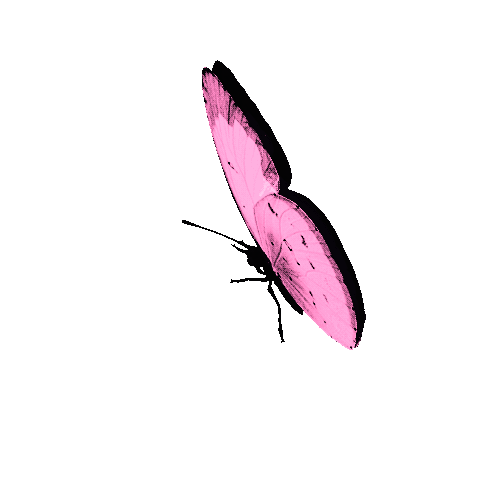 lactancia materna