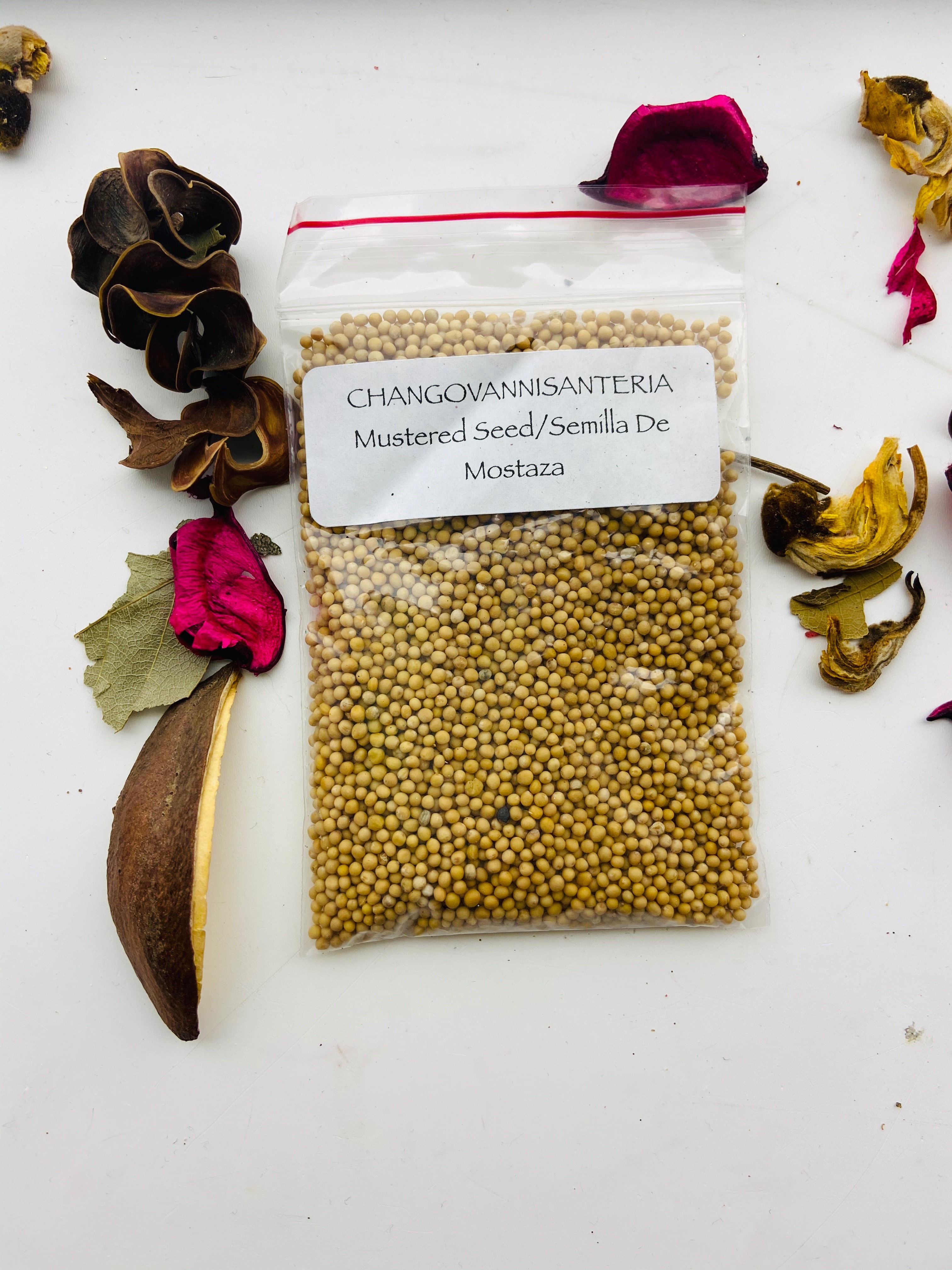Mustard Seeds /Semilla De Mostaza