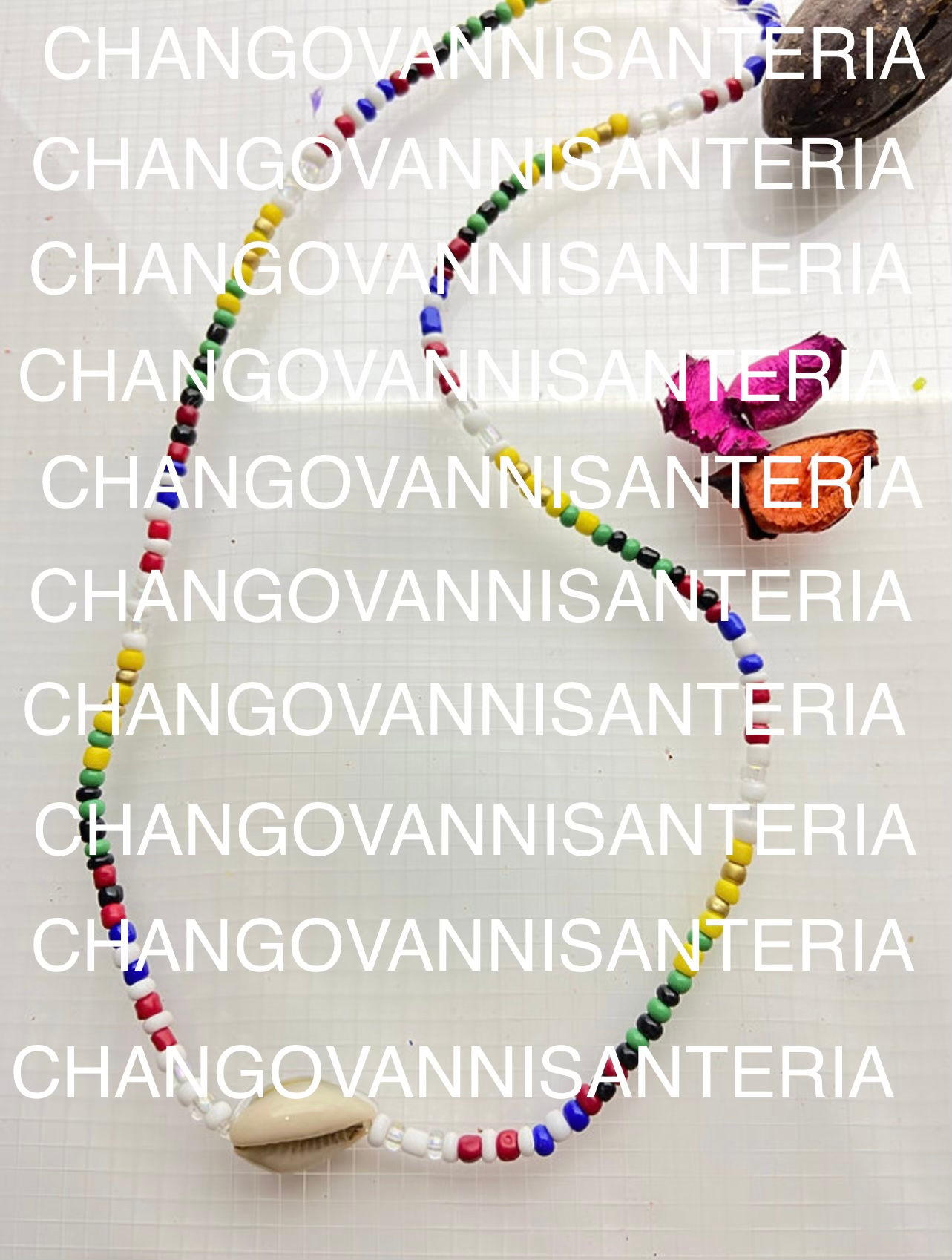 7 Orishas Shell Necklace/7 Orishas Shell Necklace