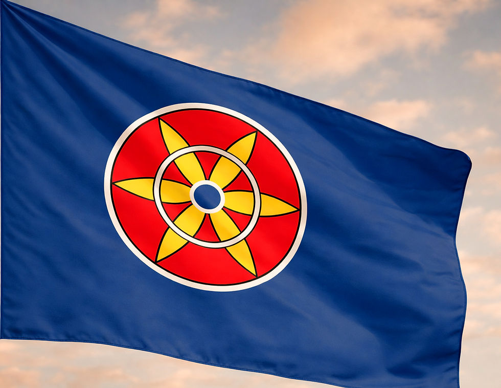 Kvenflagget: et symbol pÄ et folk mellom vann, fjell og grenser