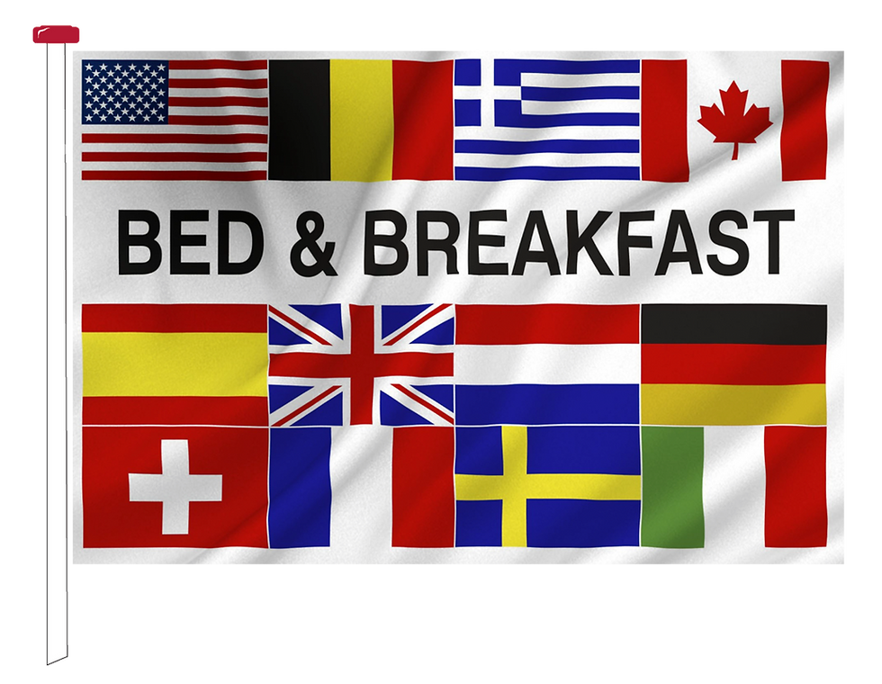 Thumbnail: Bed & Breakfast flernasjonersflagg med 12 nasjoners