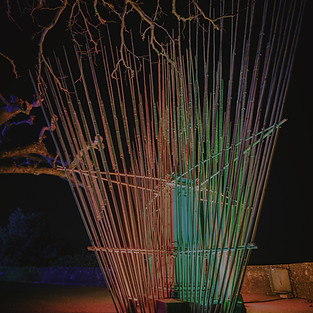 2022_01_Murten_Licht_Festival_Carim_Jost