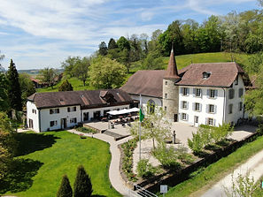 Château Salavaux from above (1).jpeg