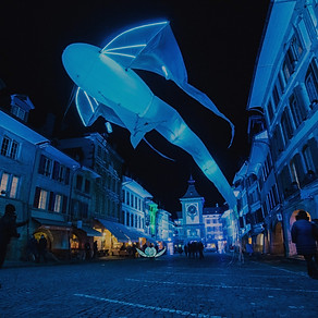 2018_01_Murten_Licht_Festival_Adrian_Sch