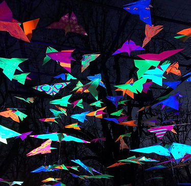 2021_01_Murten_Licht_Festival_Hätt_ih_Flügu (1).jpg