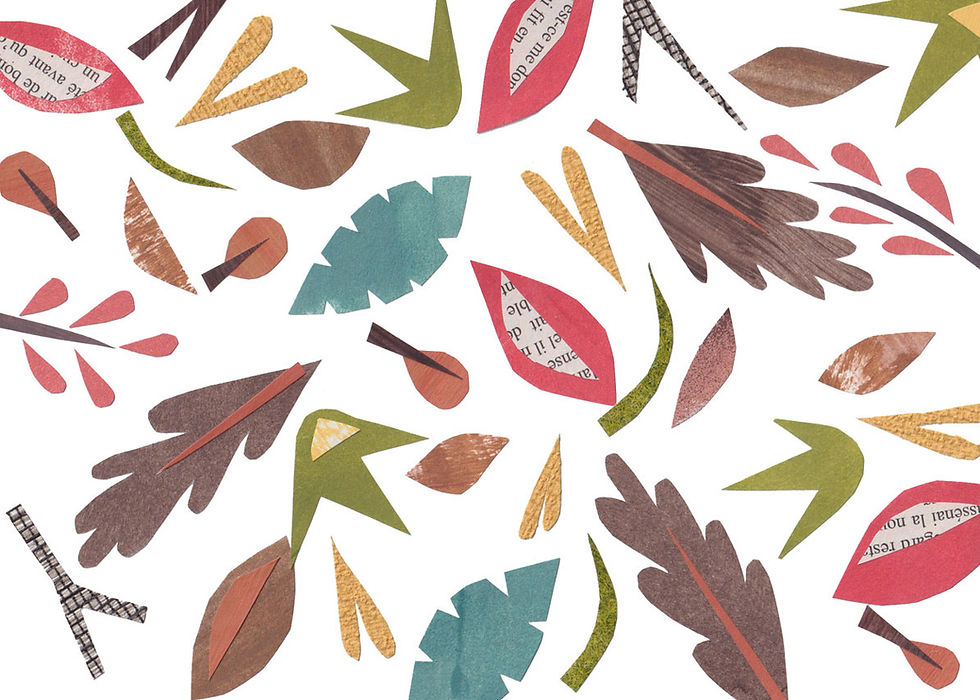 Un collage de feuilles d'automne