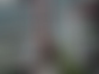 【数寄屋橋を日の丸で埋め尽くせ】西村ひとし氏ら16名で街頭演説