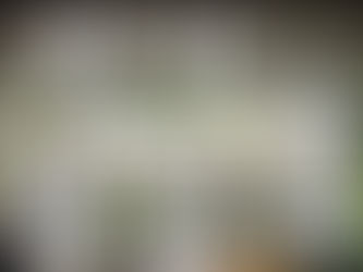 両国・横網町公園で「真実の慰霊祭」 朝鮮人虐殺を否定 約60人参加