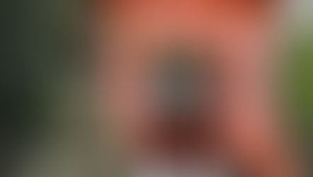 ”映え”狙い大迷惑の長蛇の列 伏見稲荷大社