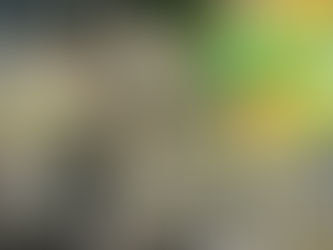 「五輪はプロパガンダに利用」戦線社の定例街宣