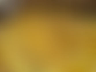 獅子柚子ピール