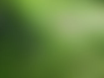 好きな雑草 桔梗草