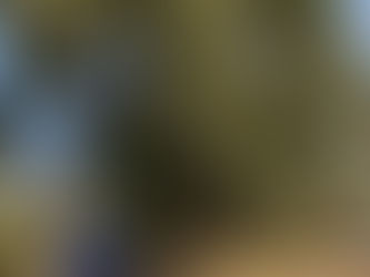 樫・榎の伐採