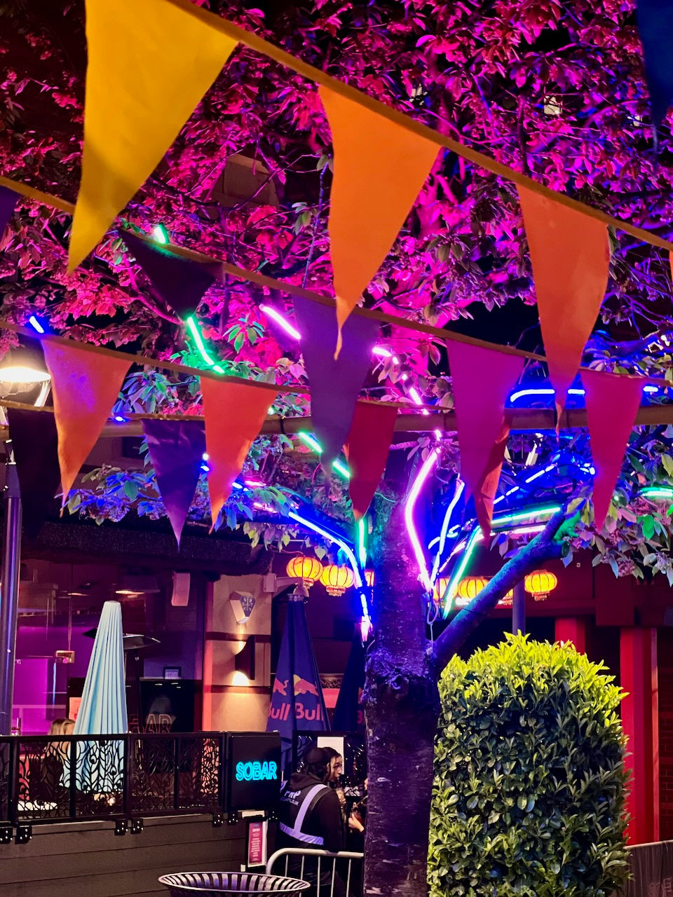 Arcadian flower neon bunting decor