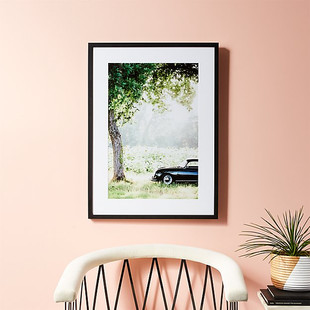 Afternoon Sun with Black Frame