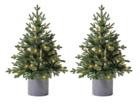 3 ft LED Pre-Lit Potted Artificial Christmas Tree with 35 Warm White Lights (2 Pack)