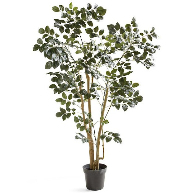 Faux Coffee Panax Tree