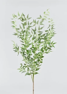 Tall-Artificial-Ruscus-Stem.jpg.webp