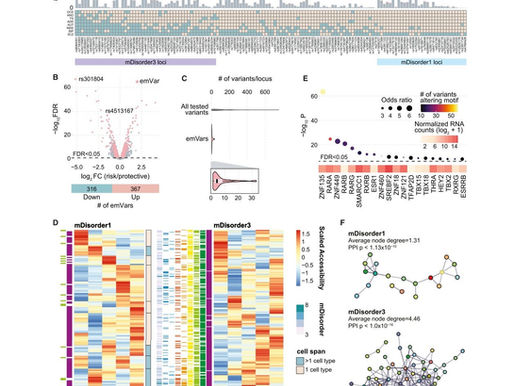Etiopatogenia actualizada de trastornos mentales