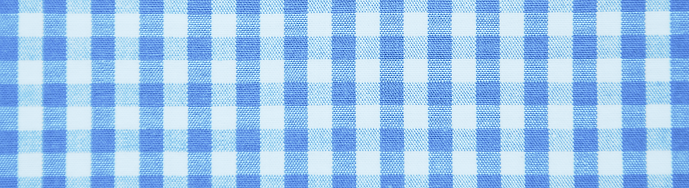 bluegingham.png