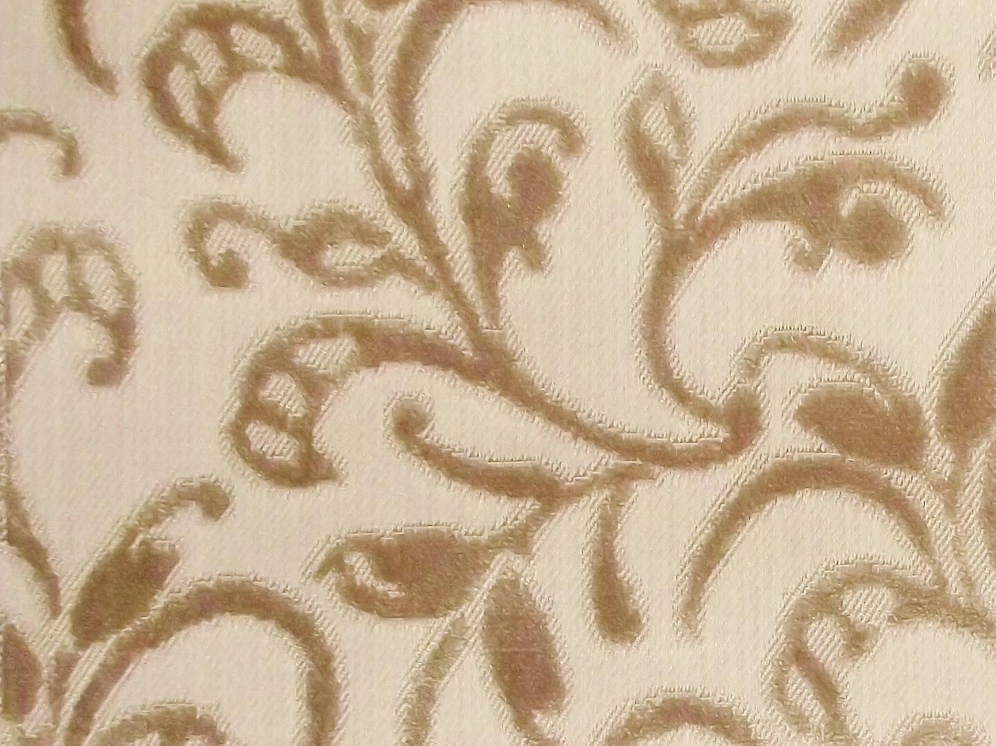 Eleganza Floral Honey / SR17290
