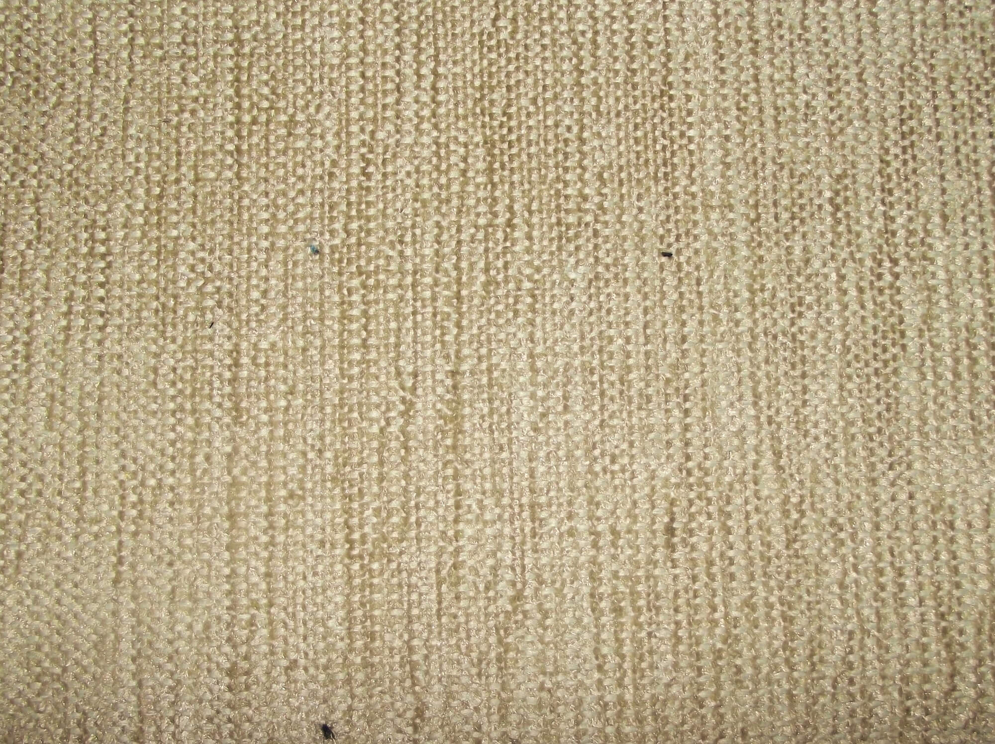 Tenby Porridge / SR19027