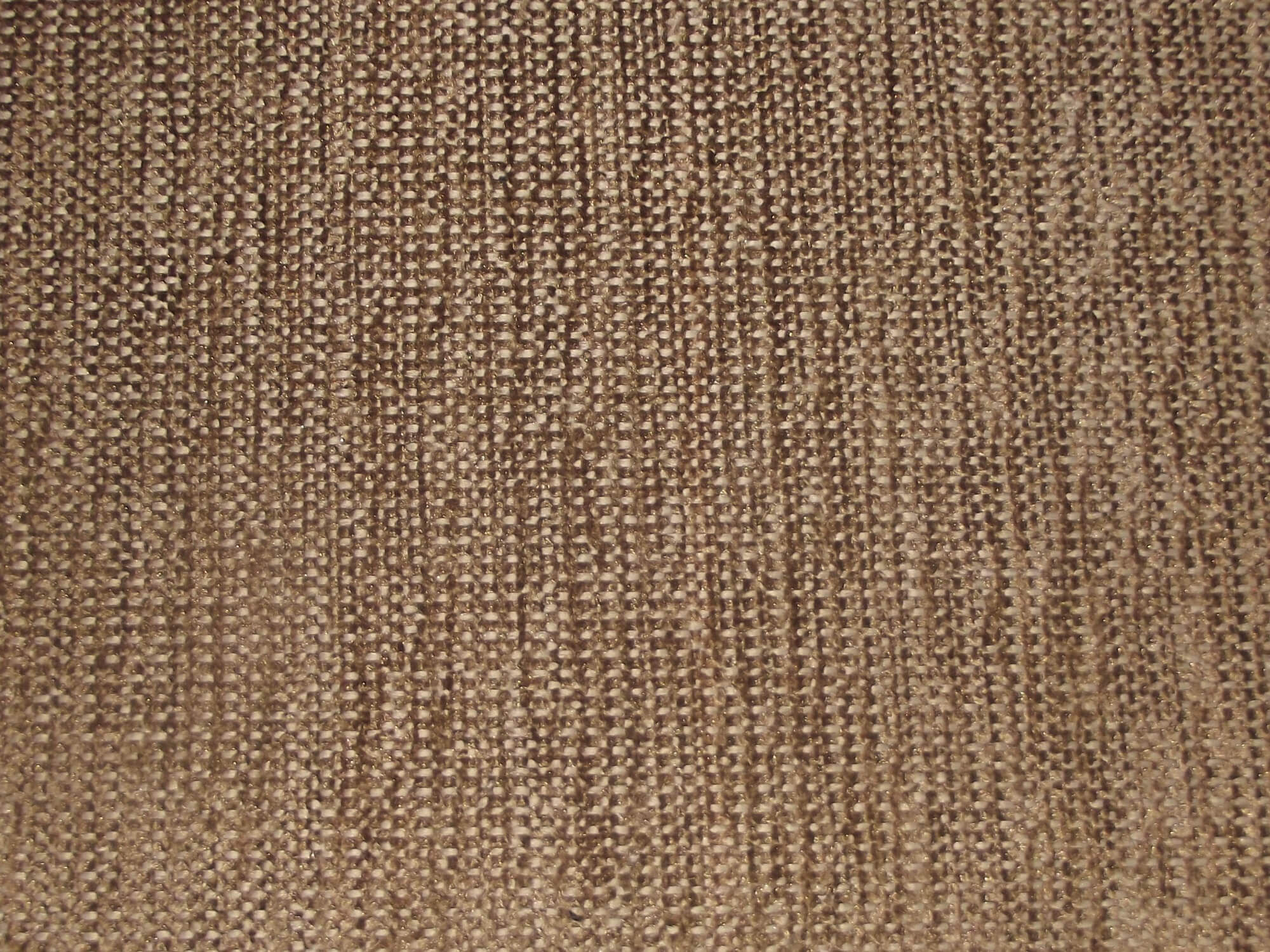 Tenby Chestnut / SR19032