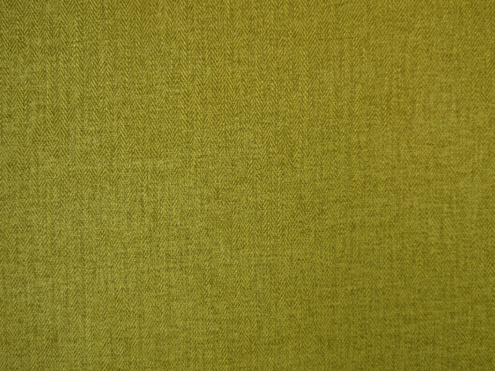 SCE2086 OLIVE