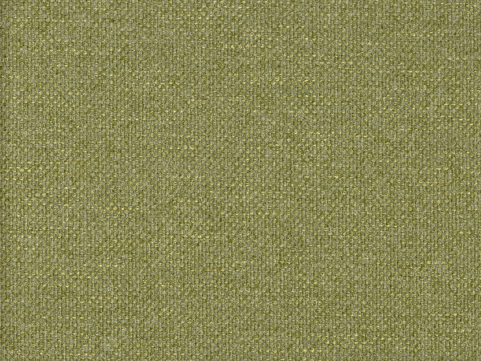 GAR2204 LICHEN