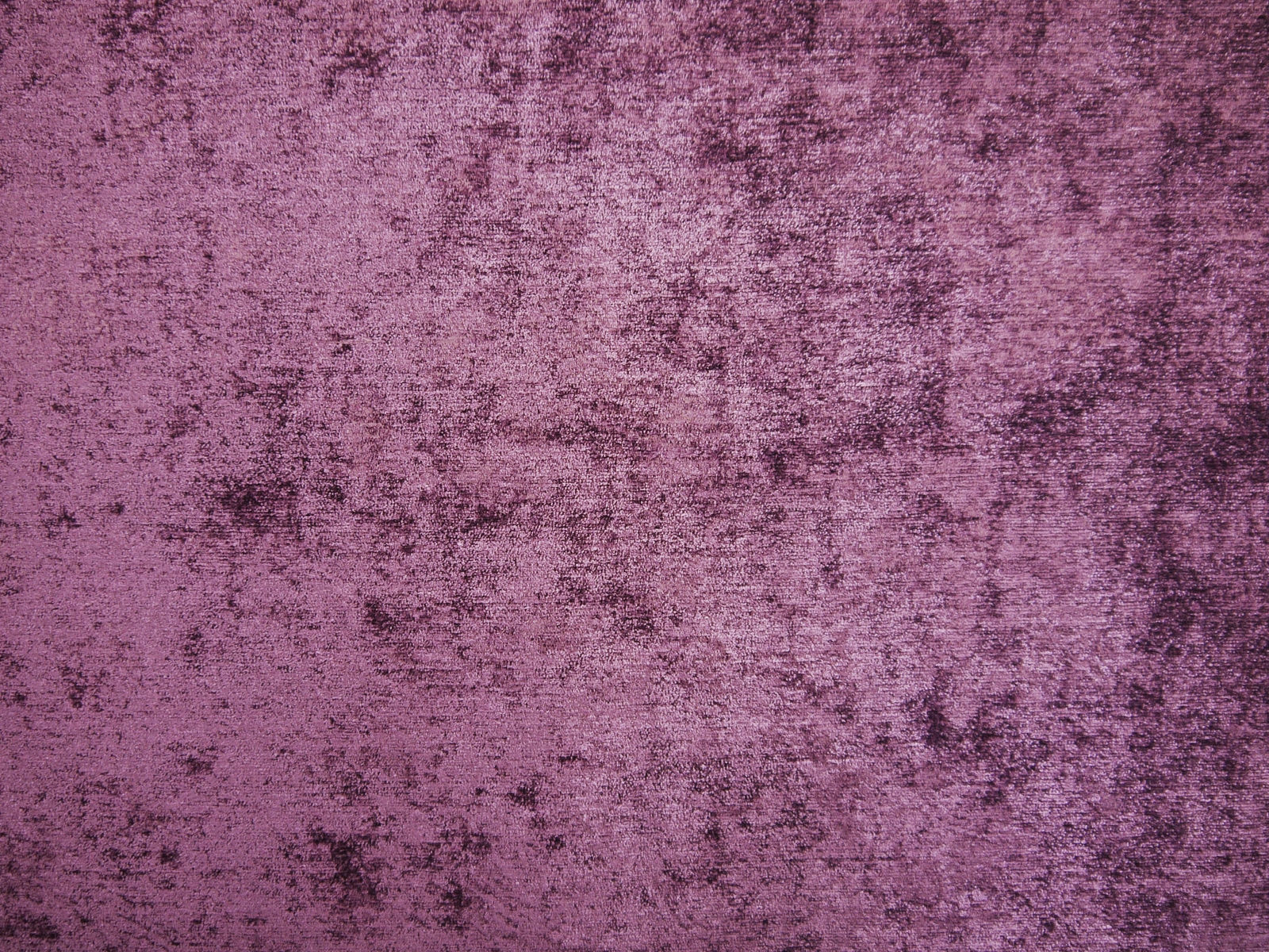 NUO2059 PLUM