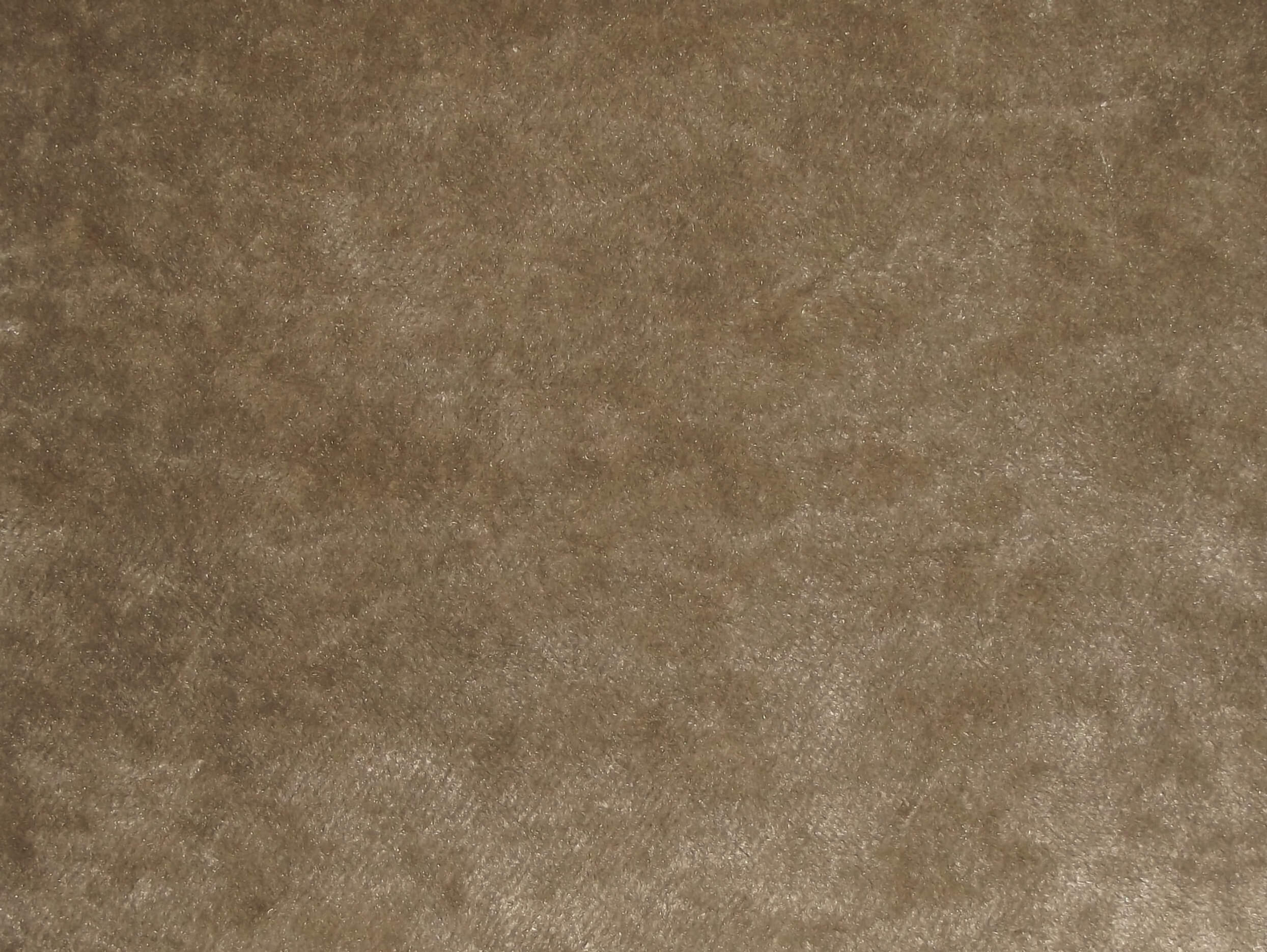 Pastiche Plain Lichen / SR18053