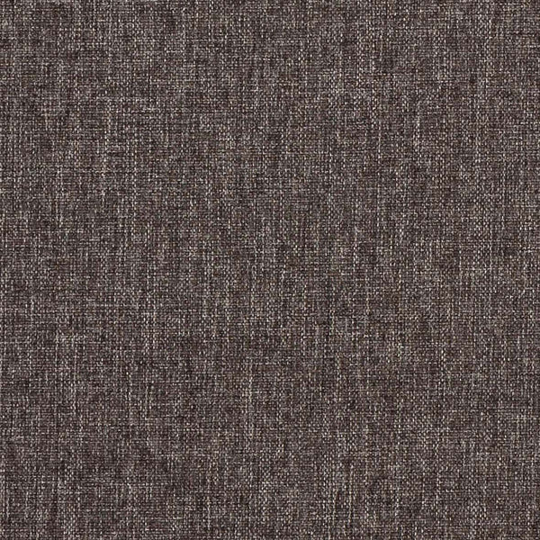 Animal Kingdom, HADLEIGH Graphite