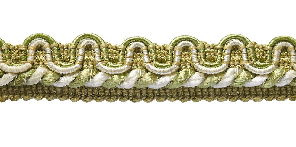 LÉZARDE 31355 - 9710