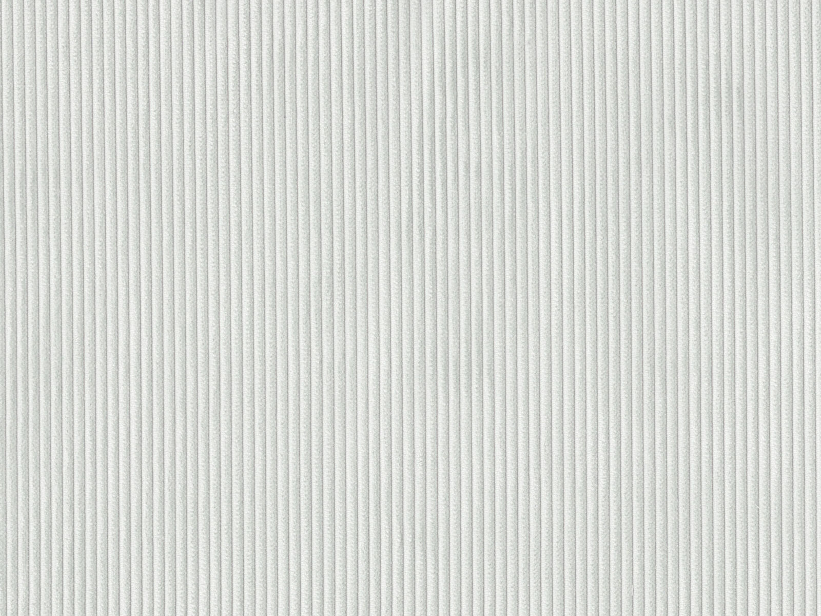 RIB2931 SILVER