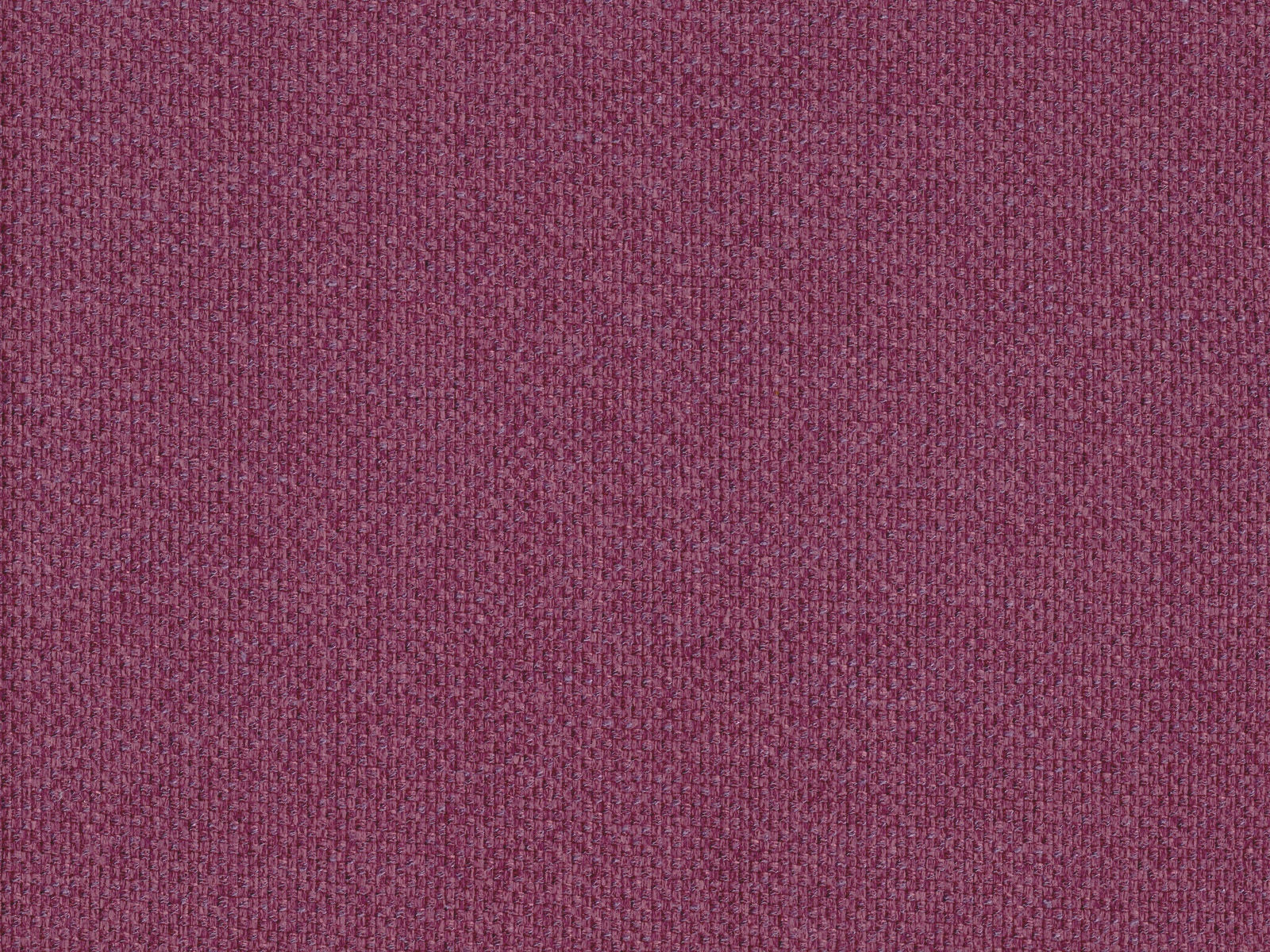 GAR2209 PLUM