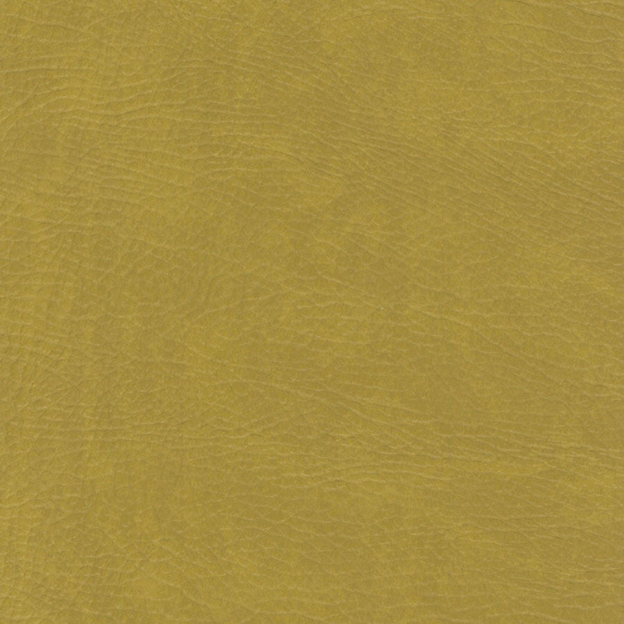 Leatheron Vinyl, Kiwi