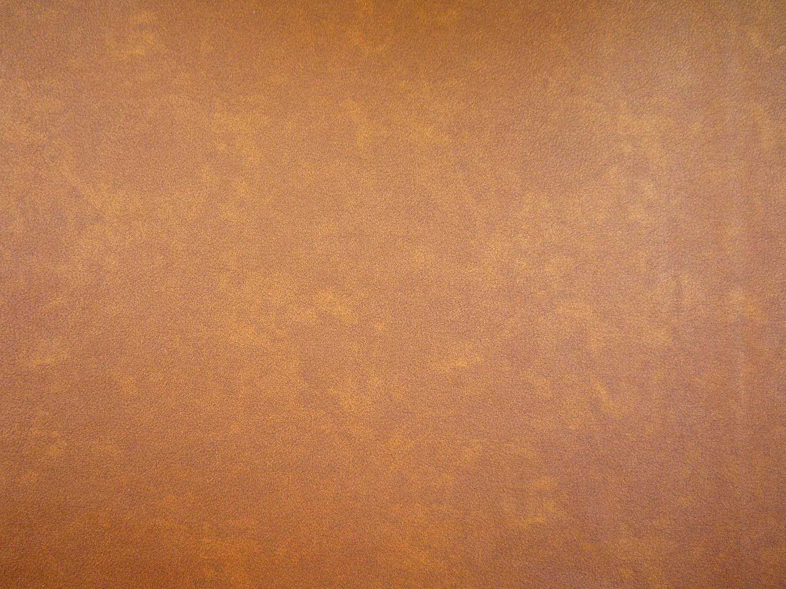 INF1849 CAMEL
