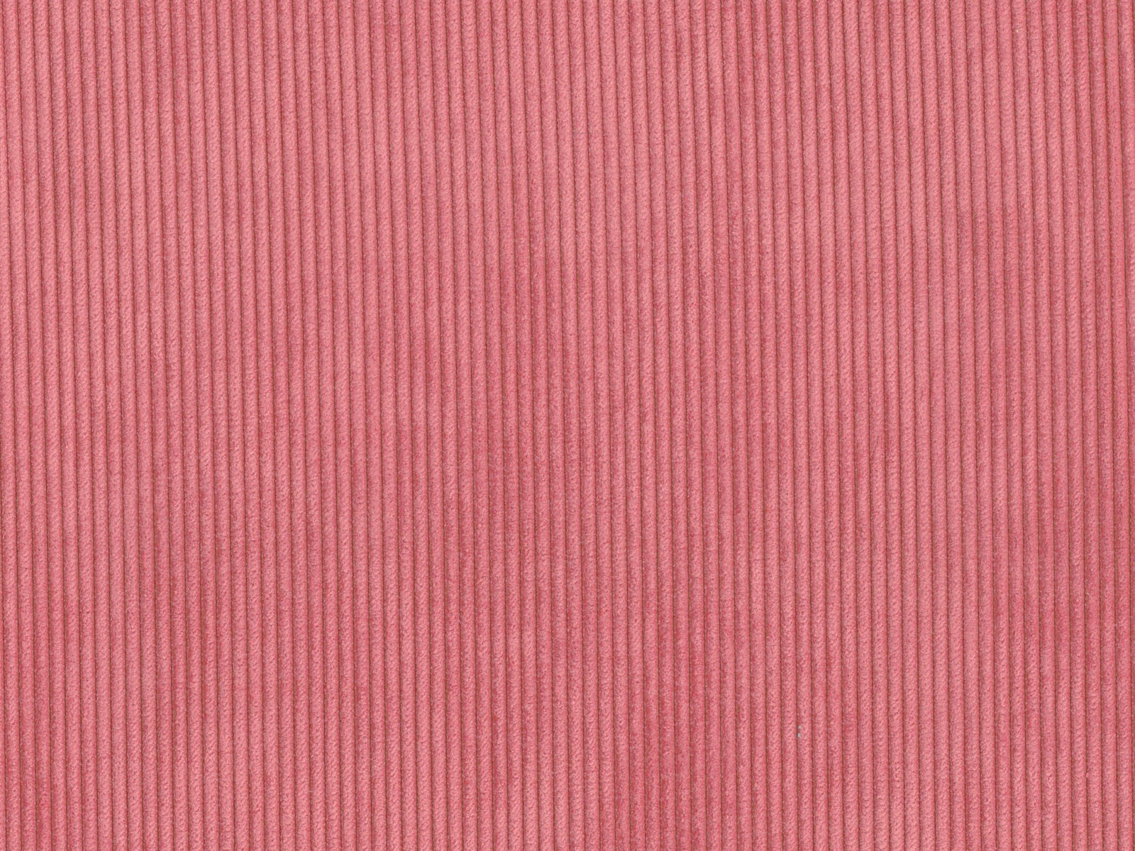 RIB2927 BERRY