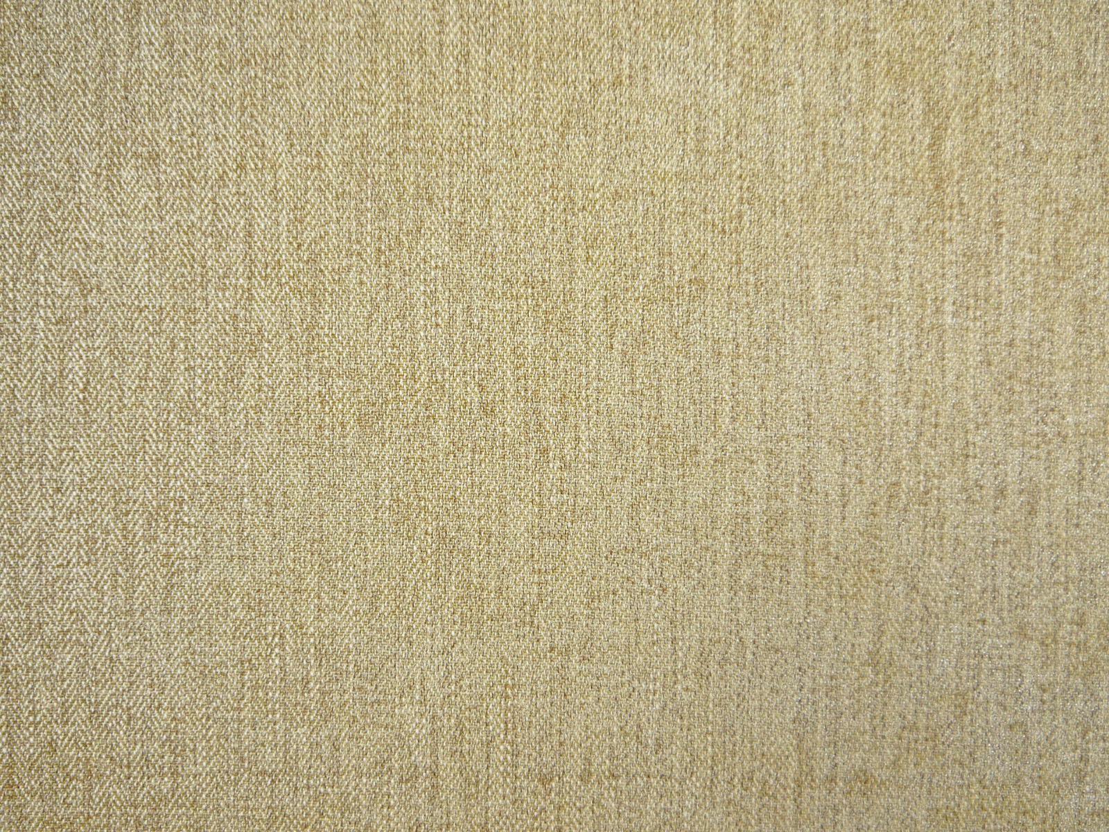 SCE2084 WHEAT