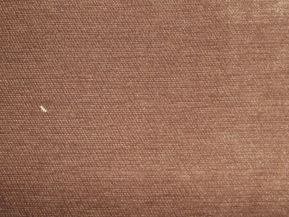 Pimlico Crush Beaver / SR16025