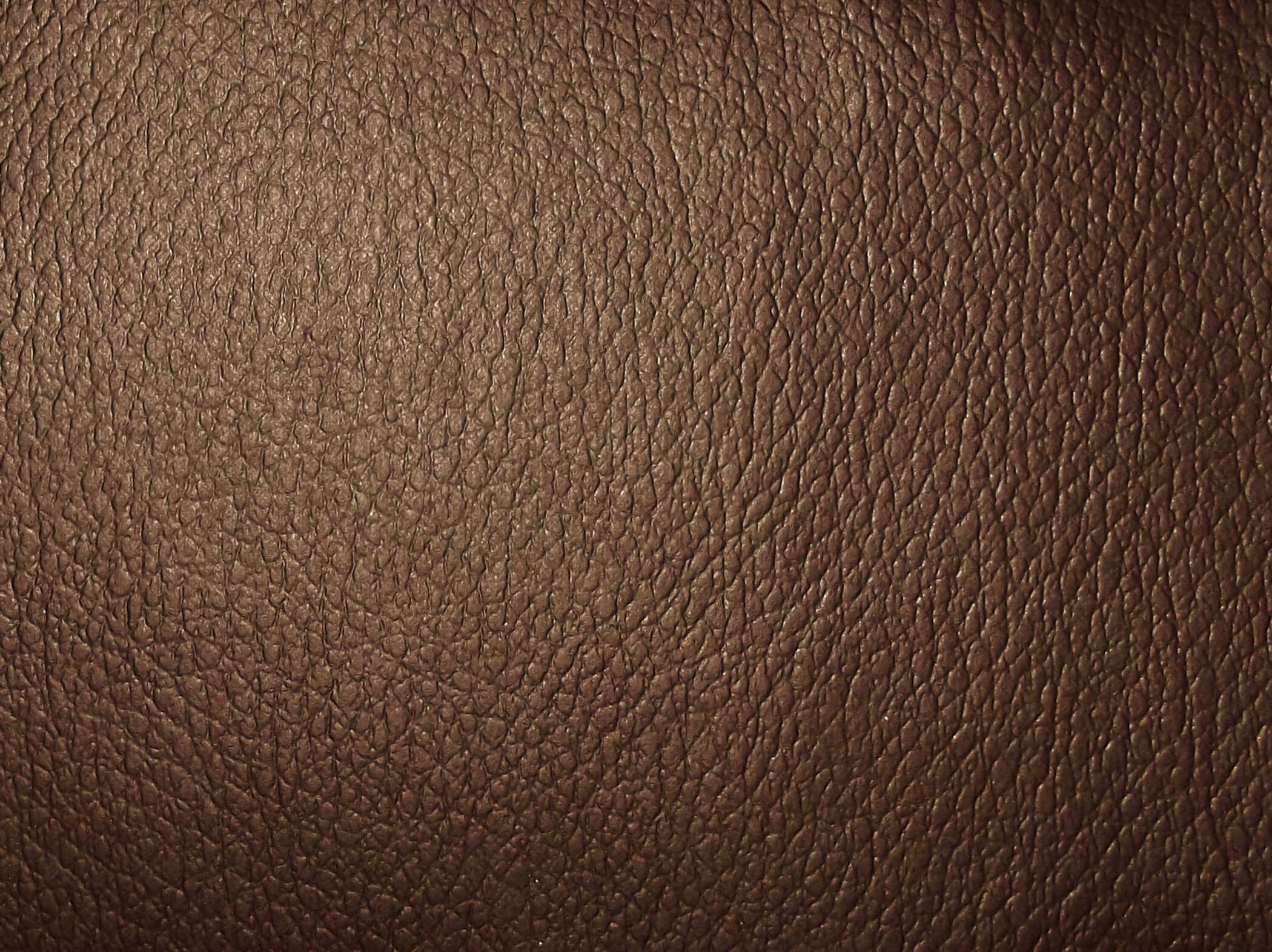 Lisbon Mocha / SR14354